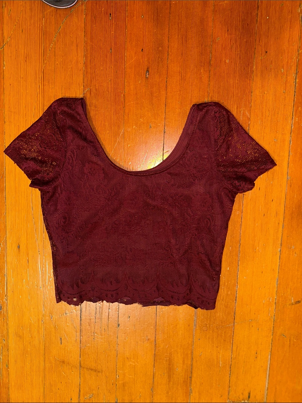 Lace Scoop Neck Cap Sleeve Burgundy Red Scalloped Hem Crop Top - Picture 2 of 13